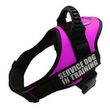 Personalized No Pull Dog Harness Reflective Adjustable Vest