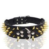 Bite-Proof Pet Collar with Rivet Reinforced Design