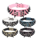 Bite-Proof Pet Collar with Rivet Reinforced Design