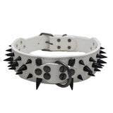 Bite-Proof Pet Collar with Rivet Reinforced Design