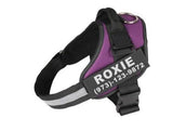 Personalized No Pull Dog Harness Reflective Adjustable Vest