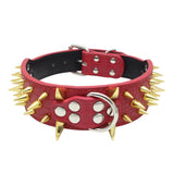 Bite-Proof Pet Collar with Rivet Reinforced Design