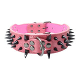 Bite-Proof Pet Collar with Rivet Reinforced Design