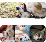 Pet Deodorant Wipes – Gentle Cleaning Wipes for Dogs and Cats