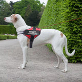 Personalized No Pull Dog Harness Reflective Adjustable Vest