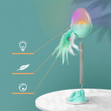 Cat Spring Feather Ball Toy Interactive Play Toy