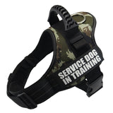 Personalized No Pull Dog Harness Reflective Adjustable Vest